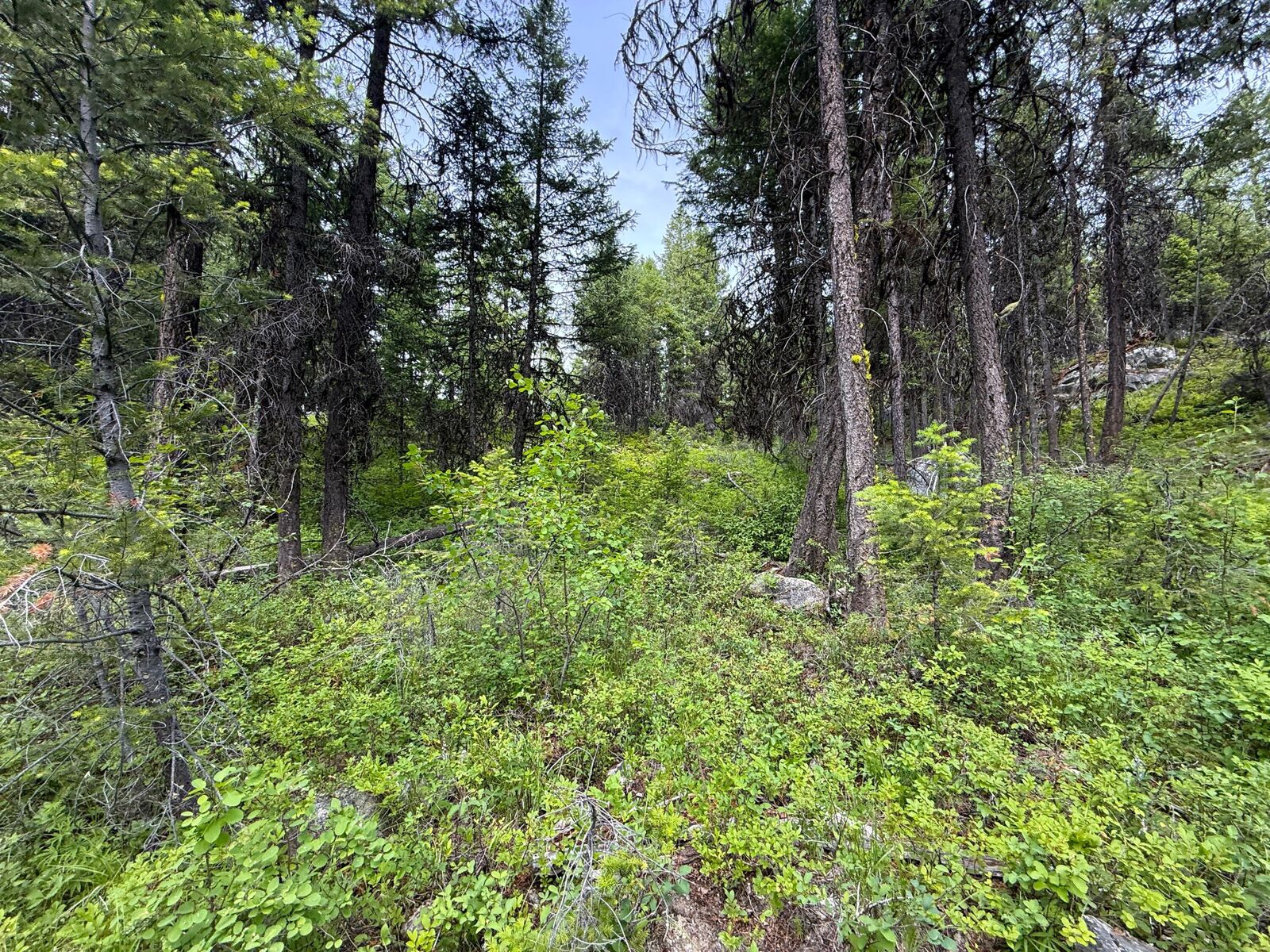 Property Photo:  Tbd Mule Deer Rd  WA 99166 