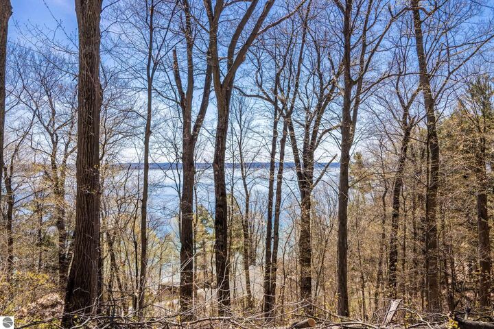 Property Photo: Lot 21 Moonrise Court MI 49686