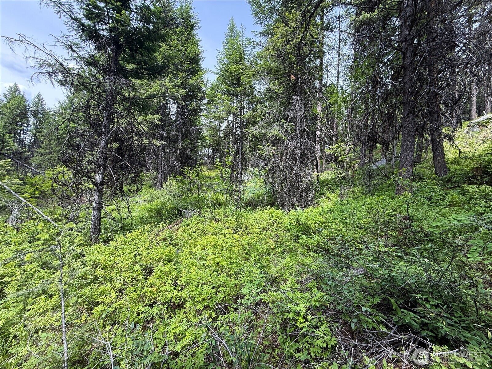 Property Photo:  0  Mule Deer  WA 99166 