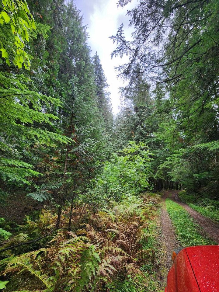 Property Photo:  234xx N Mt Spokane Park Dr  WA 99021 