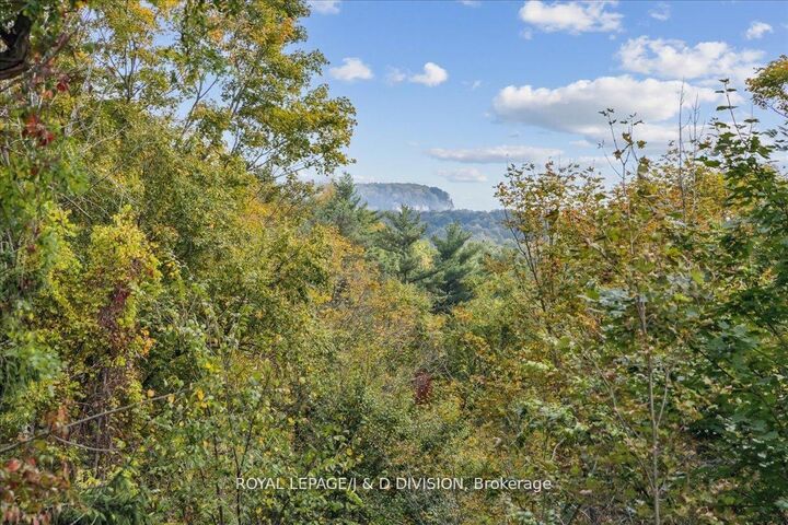 7095 Guelph Line — photo 1