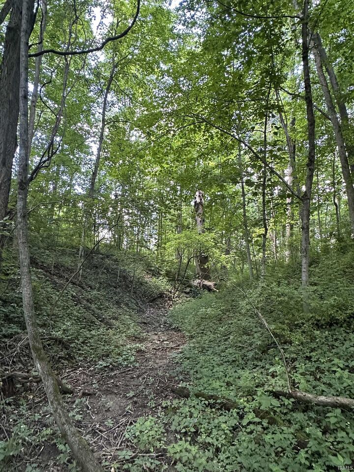Property Photo:  4645 S West County Line Road  IN 46814 