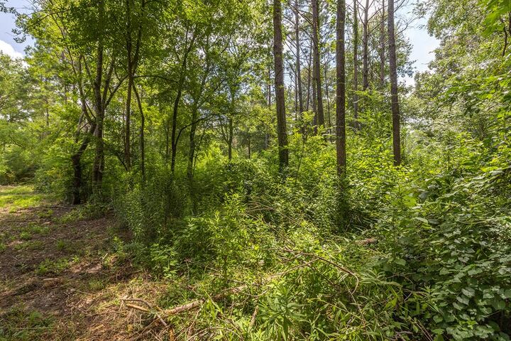 Property Photo:  R154975 Old Homer Alto Road  TX 75901 