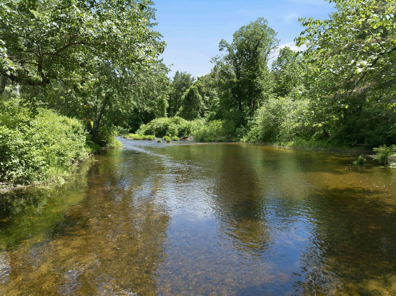 Property Photo:  00 Nh Route 103  NH 03278 
