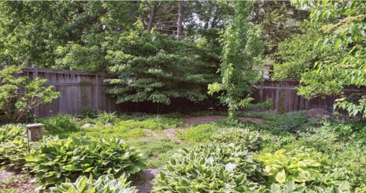 Property Photo:  5004 Yvonne Terrace  MN 55436 