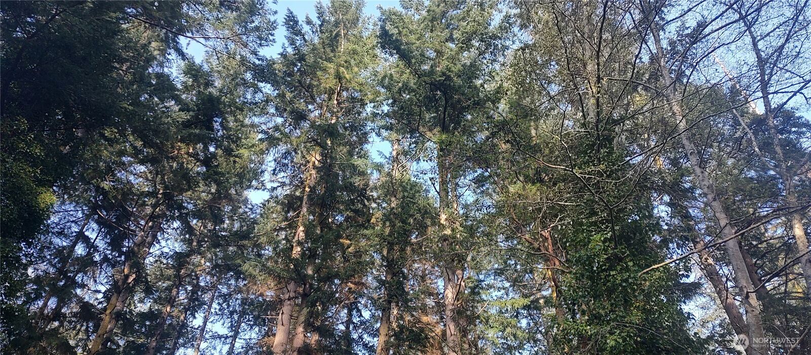 Property Photo: 15920 State Route 525 Bright WA 98260