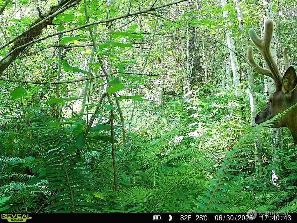 Property Photo: 15411 Alder Mashell Road E WA 98328