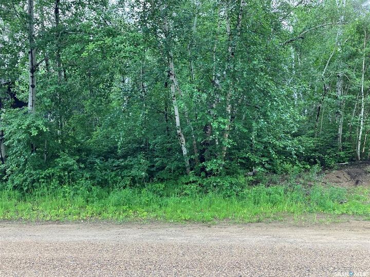 Property Photo:  1311 Westview Avenue  SK S0E 1E0 