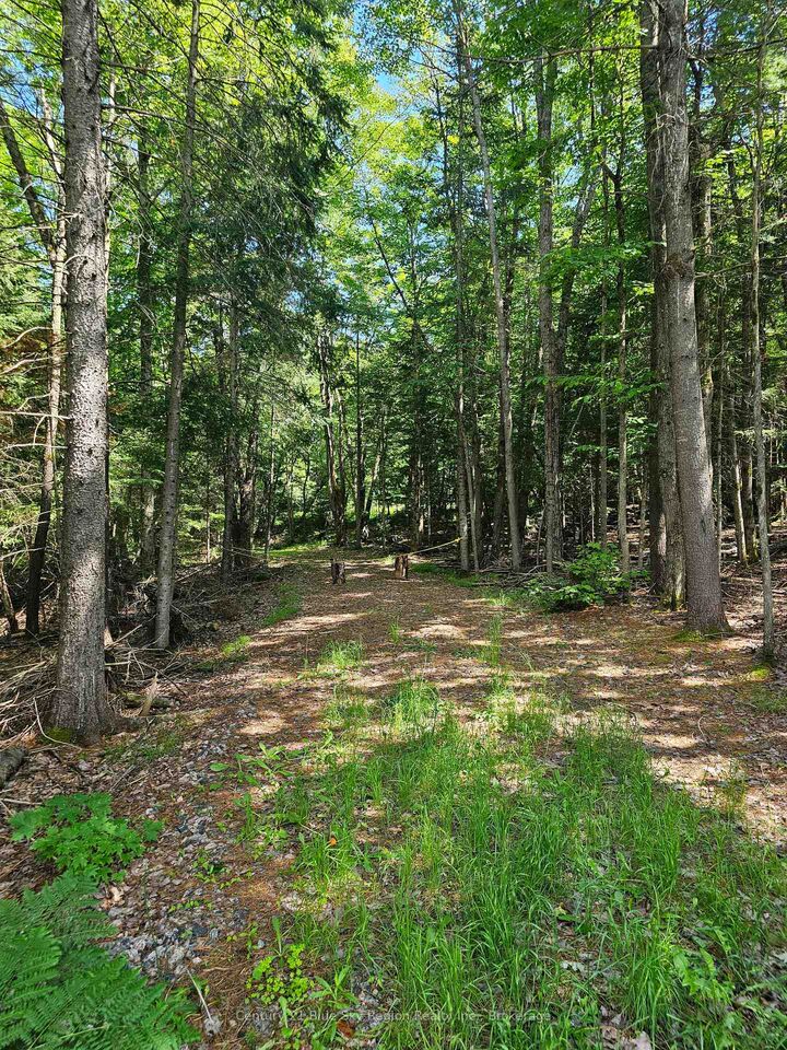 Property Photo:  4369 Highway 534 N/A  ON P0H 1W0 