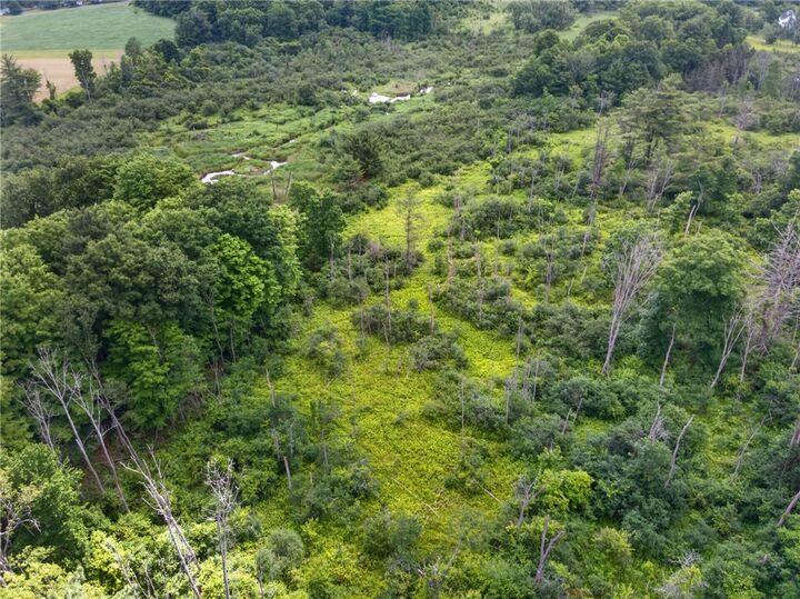 Property Photo: 000 Ellis Hollow Road NY 14850