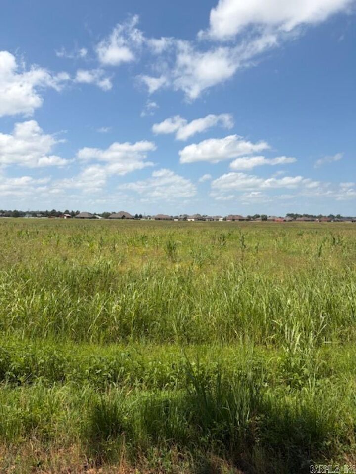 Property Photo: Lot 3 Upper Steel Bend Road AR 72142