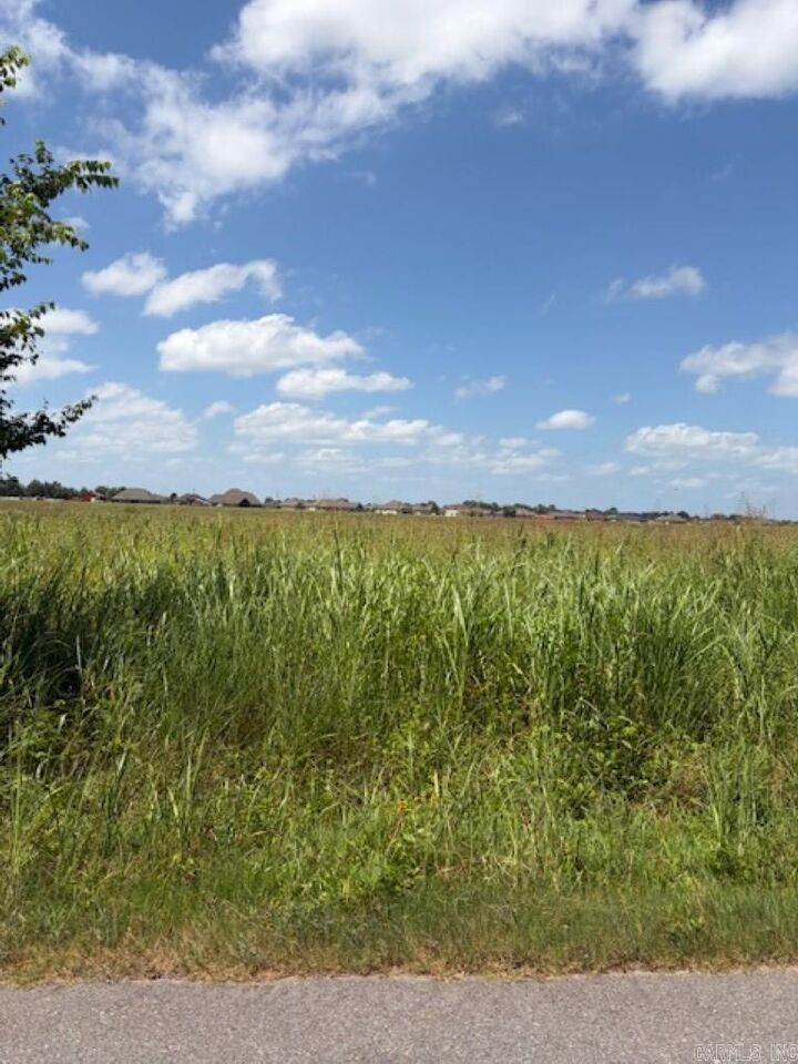 Property Photo: Lot 6 Upper Steel Bend Road AR 72142