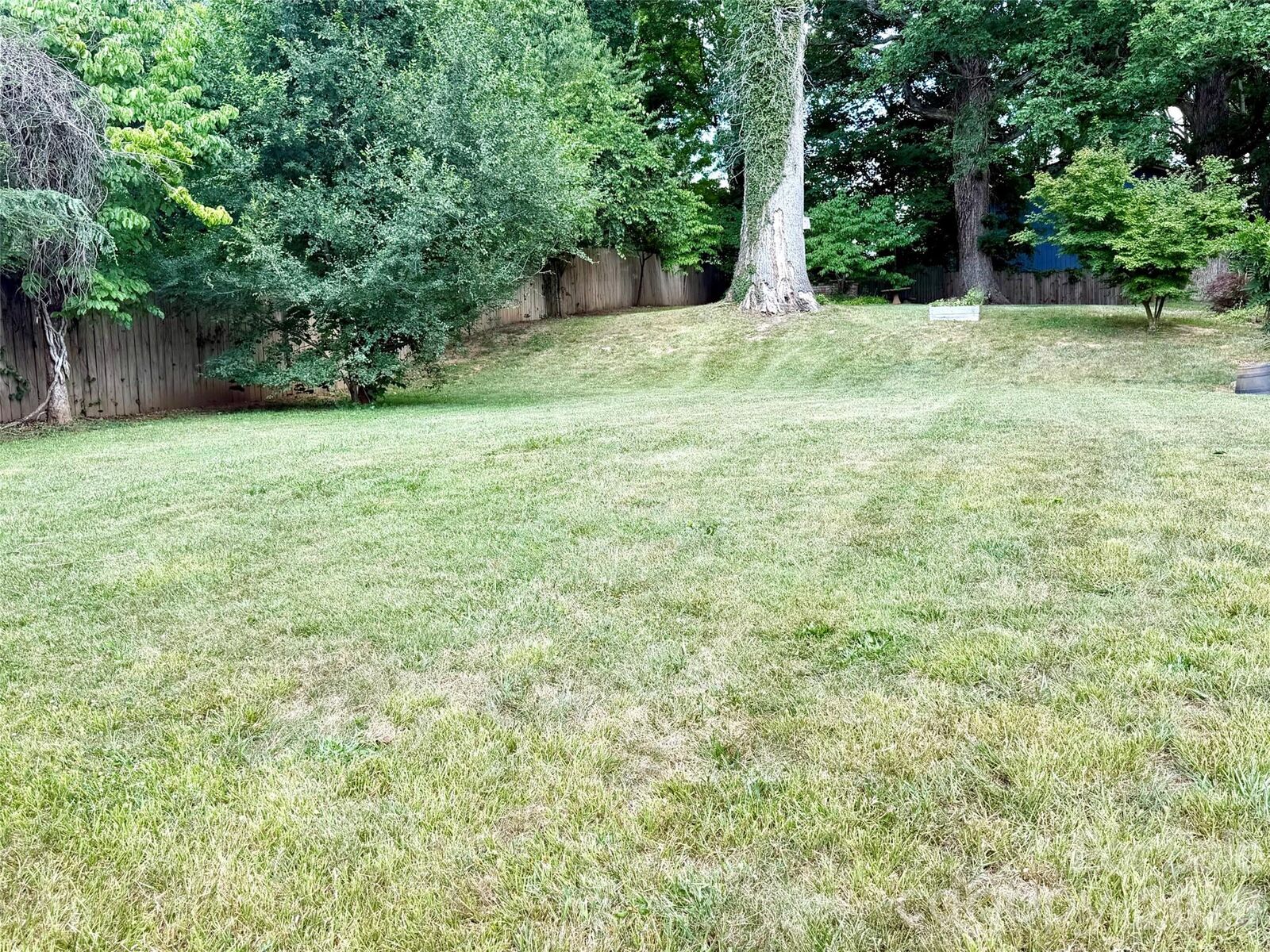 Property Photo:  14 Main Street  NC 28803 