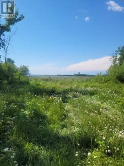 Property Photo:  2440 Highway 540  ON P0P 1K0 