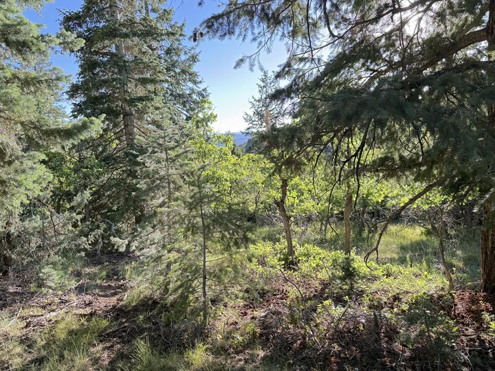 Property Photo:  A 4 Wonderland Vista  UT 84762 
