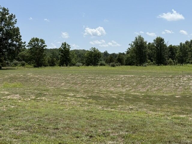 Property Photo:  2124 Yellowbanks Road  IL 62983 