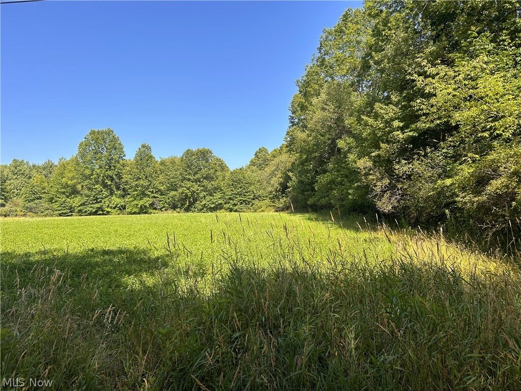 Property Photo: Wilson Lane OH 44436