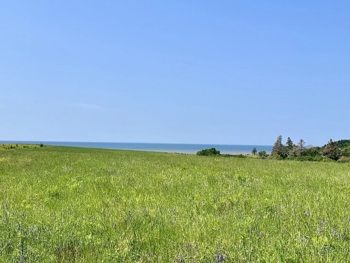 Property Photo: 0 Rte 19 PE C0A 1J0