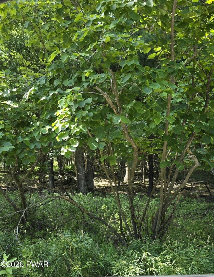 Property Photo:  Log Tavern Road  PA 18337 