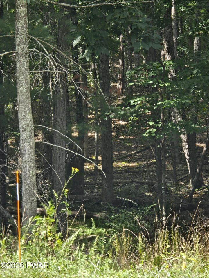 Property Photo:  Log Tavern Road  PA 18337 