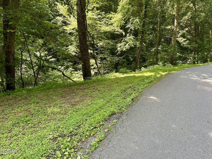 Property Photo:  Lot 706A School House Gap Road  TN 37876 