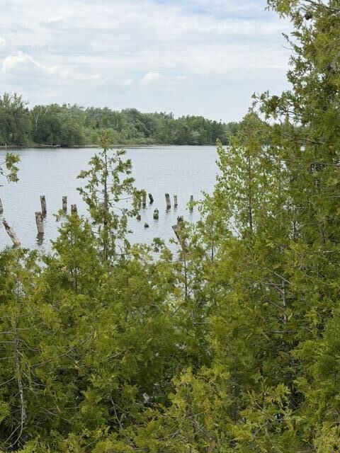 Property Photo: Moonlight Bay Road MI 49721