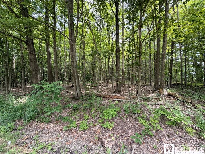 Property Photo:  00 Panama-Stedman Road  NY 14757 