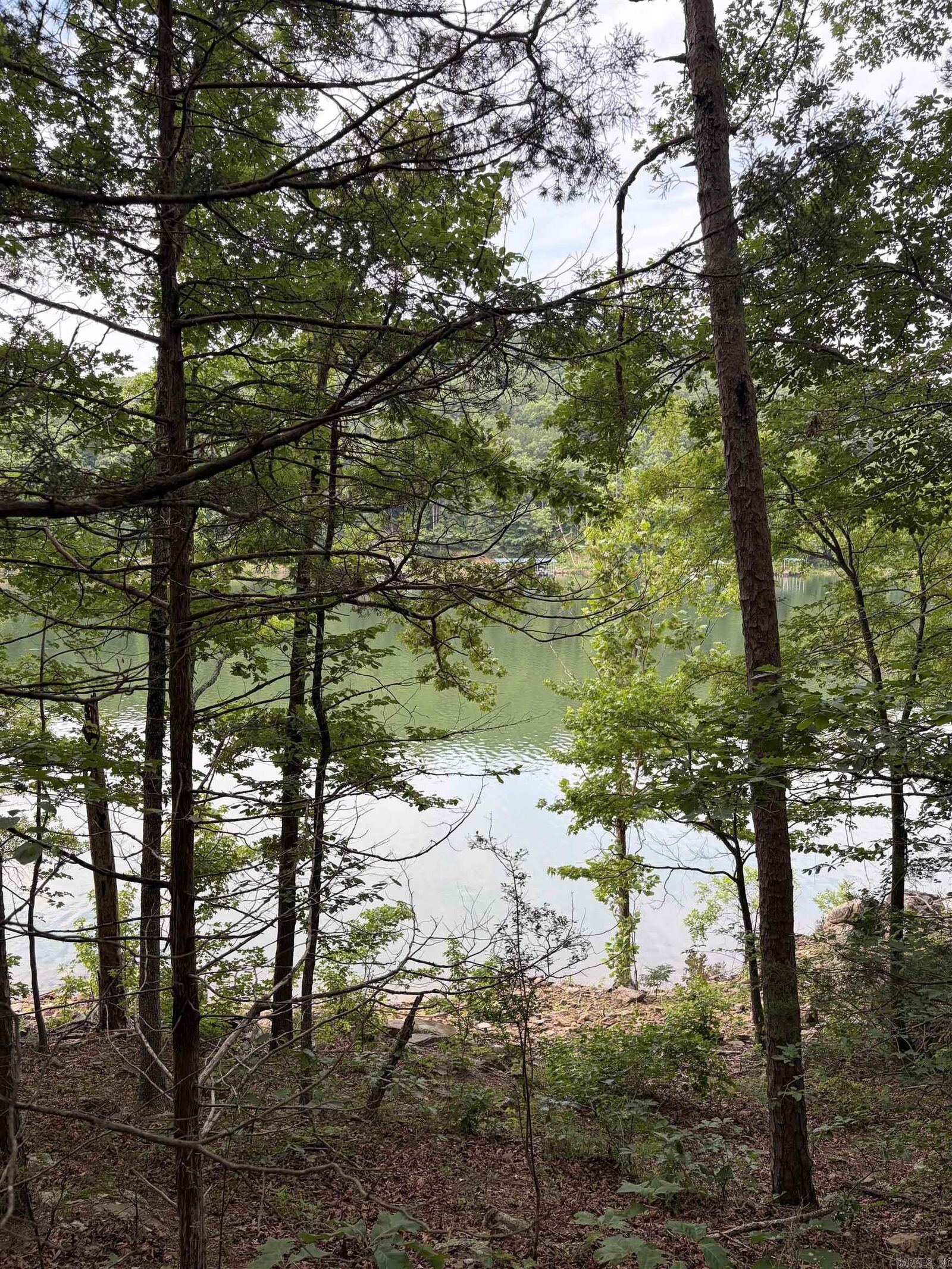Property Photo: Bear Mountain Rd. AR 72130