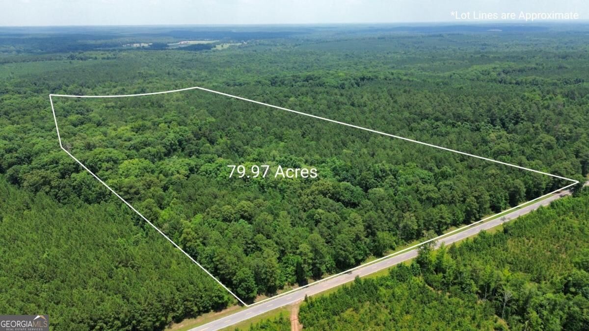 Property Photo:  000 Springfield / Turner Road  GA 30669 