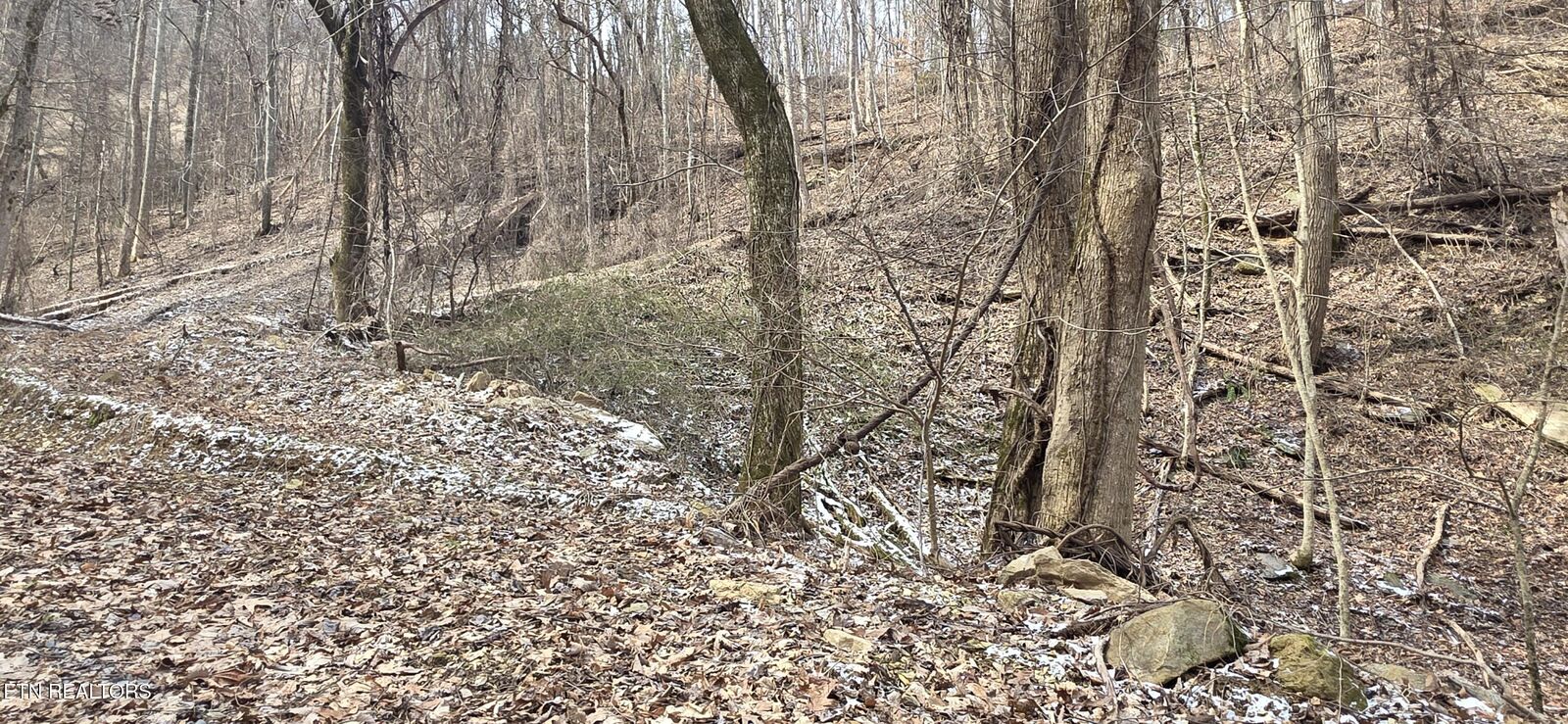 Property Photo:  Lot 4 Balsam Slopes Rd  TN 37862 