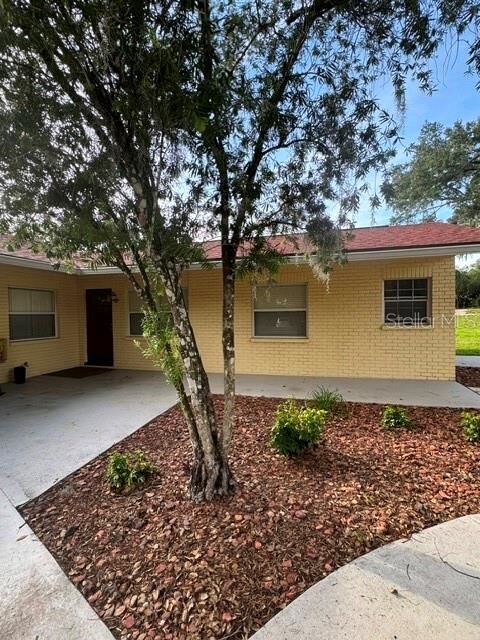 Property Photo:  37623 Camphor Drive  FL 33525 