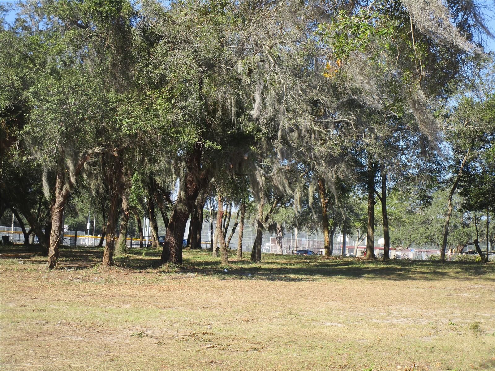 Property Photo:  6718 N Rome Avenue  FL 33604 
