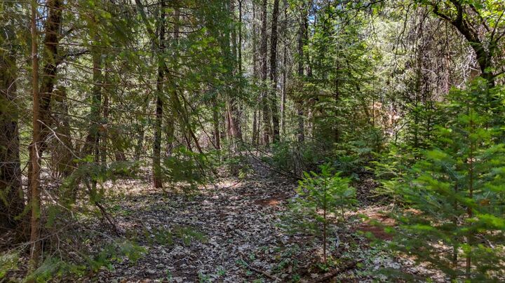 Property Photo: 12479 Tesla Place CA 95959
