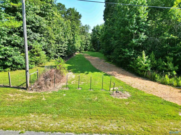 Property Photo:  3.01 Acres County Road 814  AL 35966 