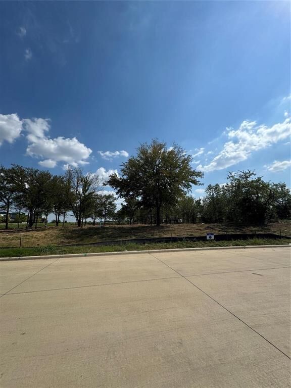 Property Photo:  947 Lilac Lane  TX 75034 