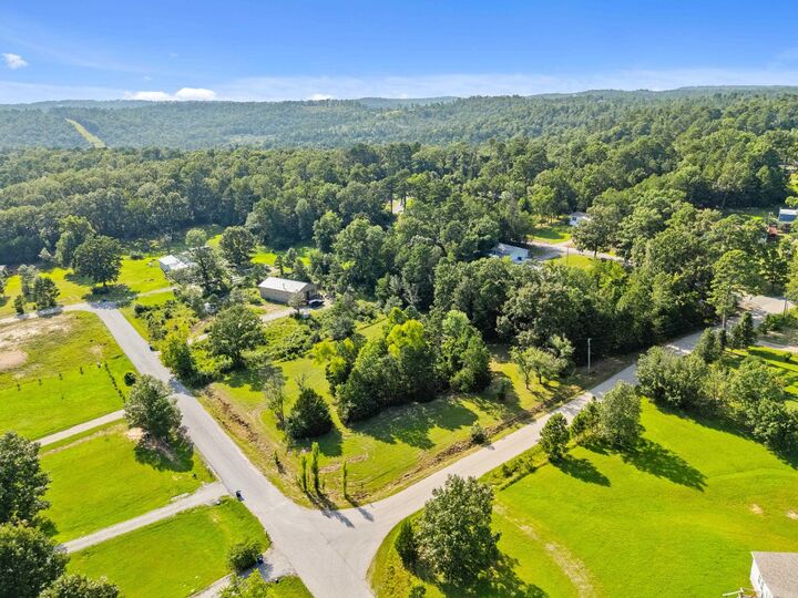 Property Photo:  000 Farmers Circle  AR 72653 