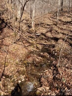 Property Photo: 1873 Unahala Creek Road NC 28713