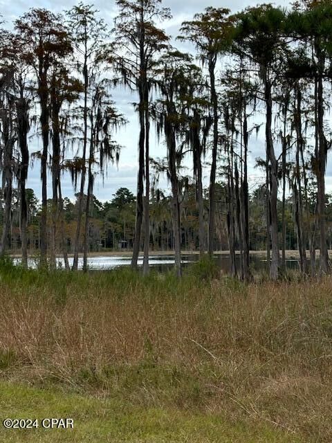 Property Photo: 0000 Everest Drive FL 32428