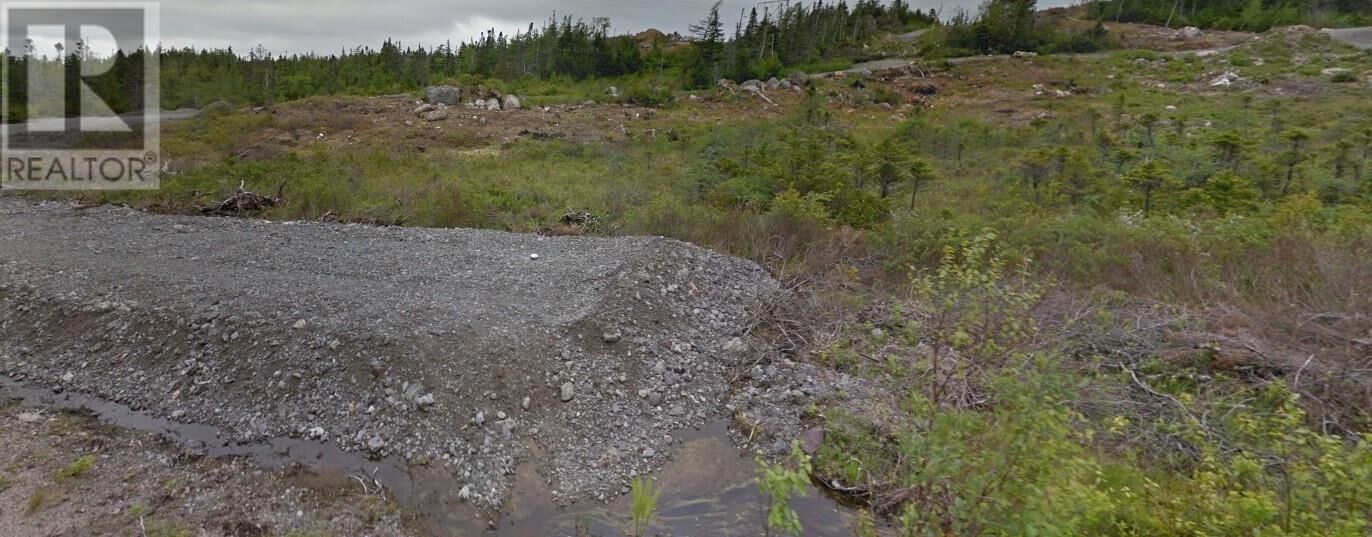 Property Photo:  64 Country Path Road  NL A0A 2R0 