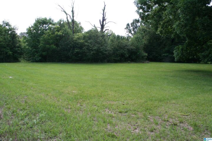 Property Photo:  6096 Warrior River Road 1  AL 35023 