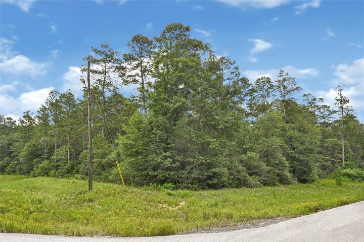 Property Photo:  177 Brahman Lane  TX 77340 