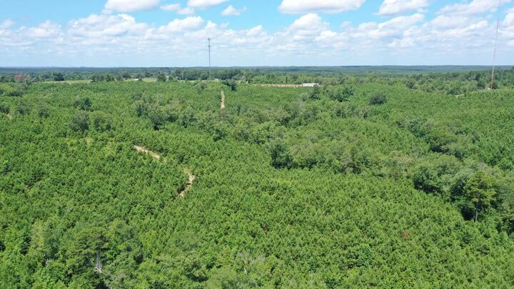 Property Photo: 0000 Shady Grove Road TX 75657