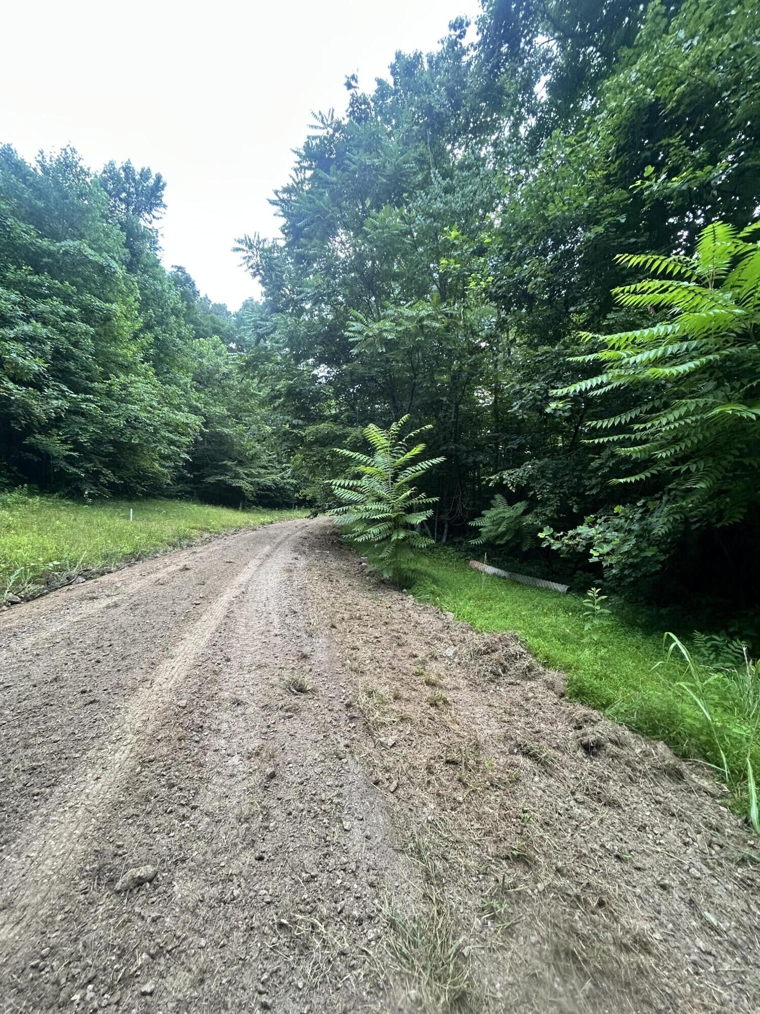 Property Photo:  Tract 68-70 Cd Dogwood Drive  KY 42653 