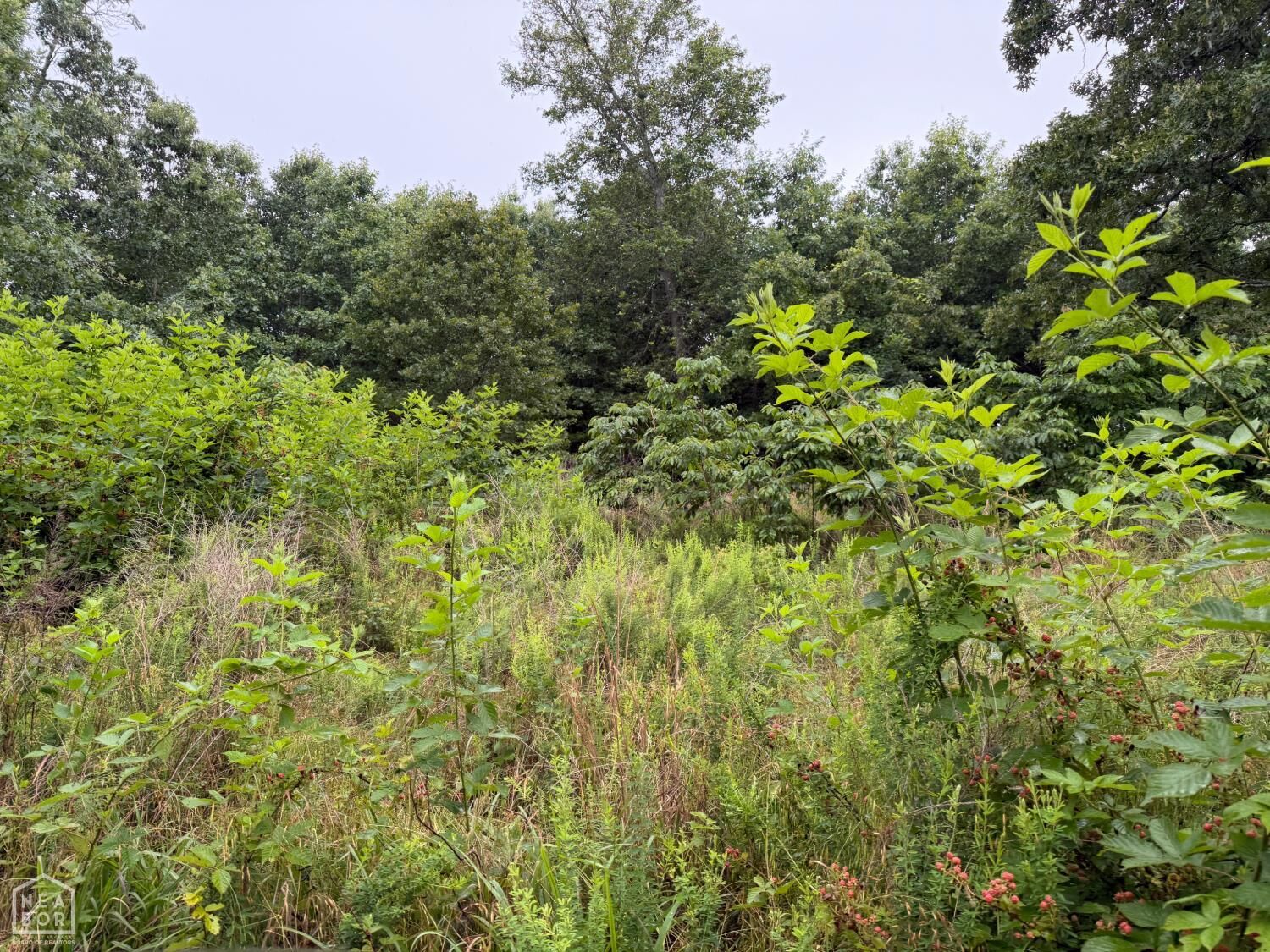 Property Photo:  1 Morgan Cave Road  AR 72601 