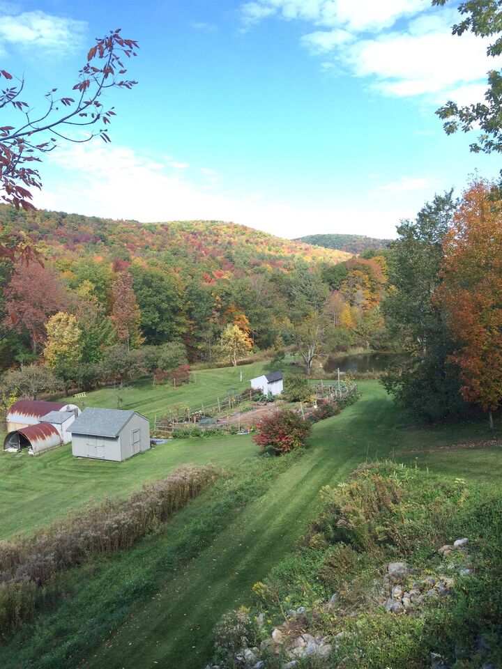 Property Photo: 289 Lamb Hill Road VT 05774
