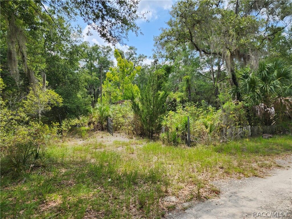 Property Photo:  11335 N Ginny Lane Point  FL 34449 