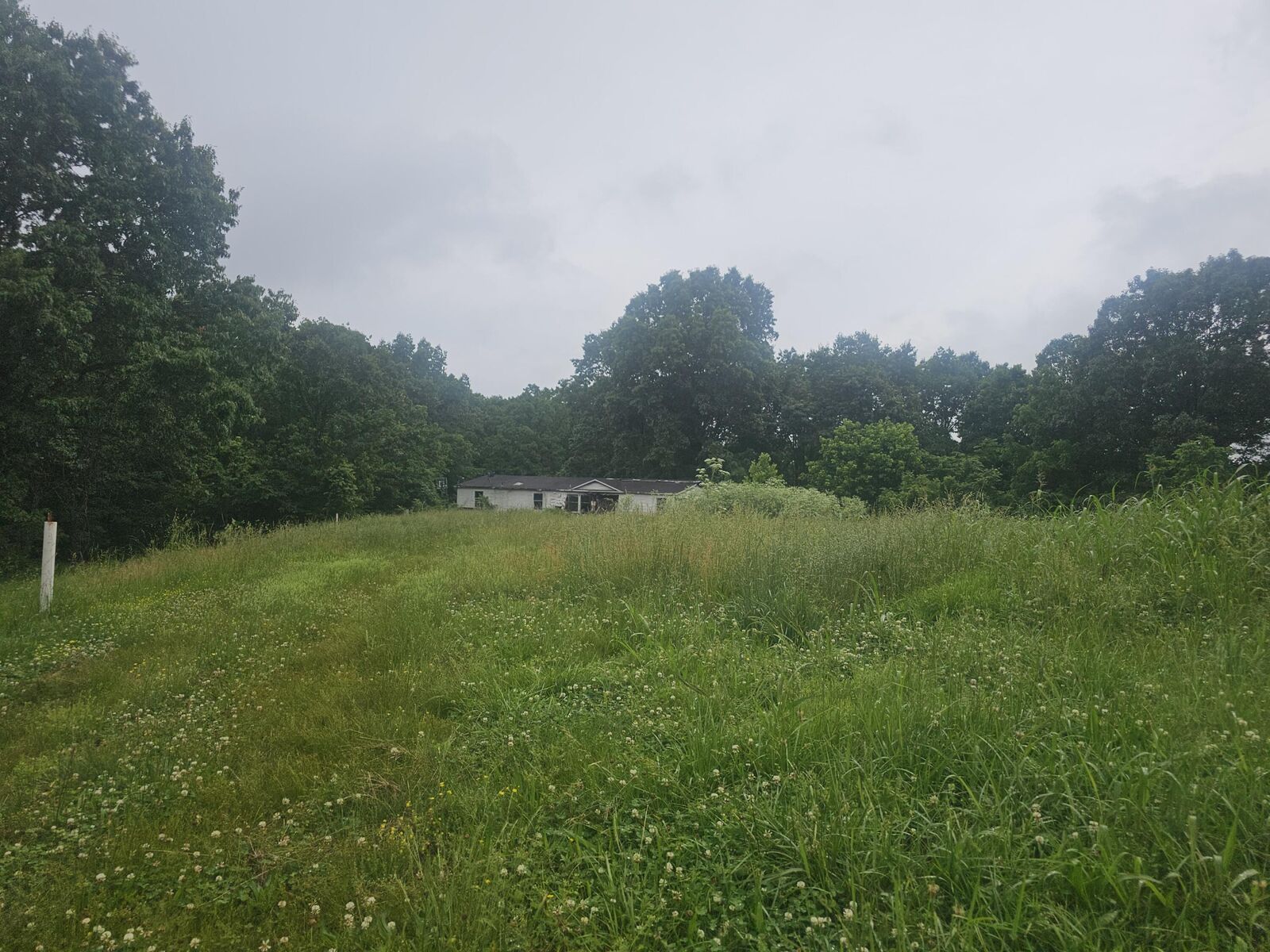 Property Photo:  3646 State Highway 173  MO 65656 