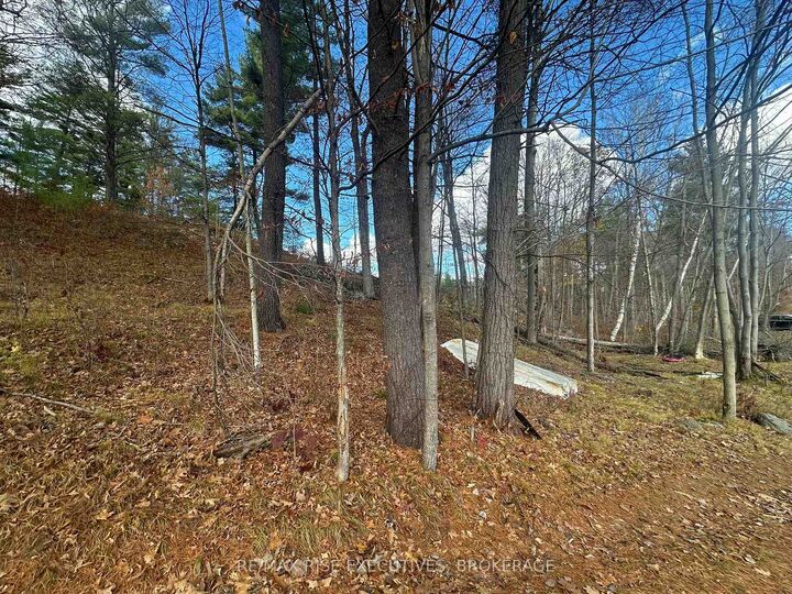 Property Photo:  1457 Opeongo Road  ON K0H 2K0 