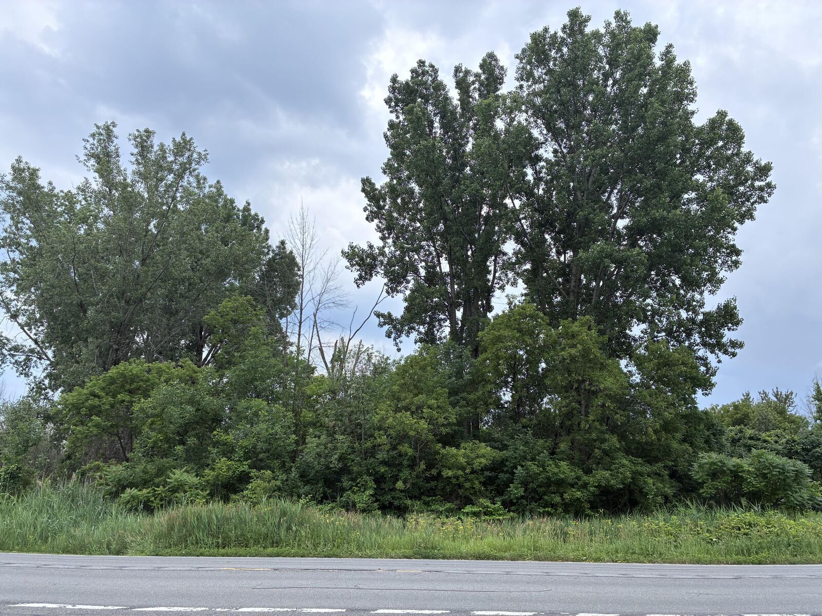 Property Photo:  0 Route 11 Route  NY 12919 