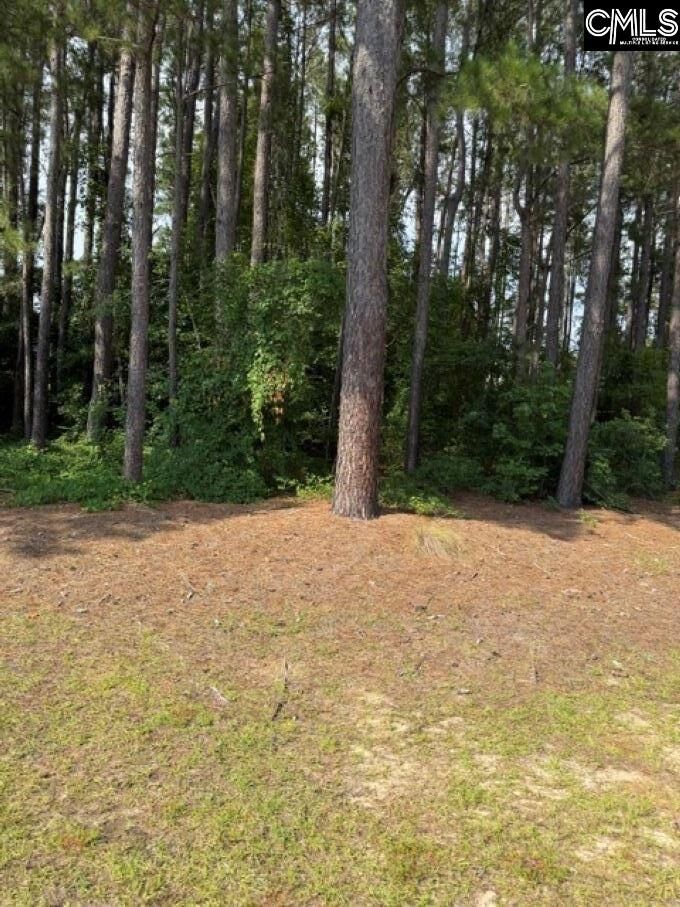 Property Photo:  2140 Watersong  SC 29150 